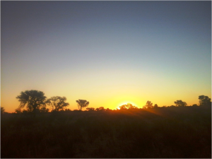 Kalahari sunsets to die for